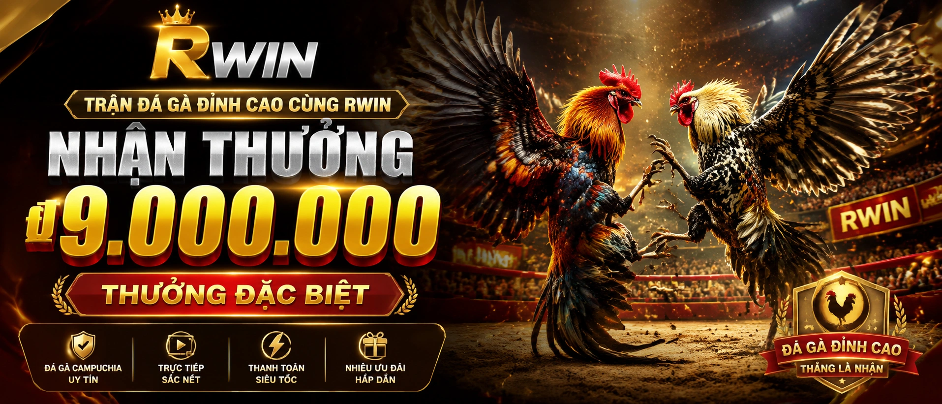 Đá Gà Trực Tiếp trên rwin.com.vc